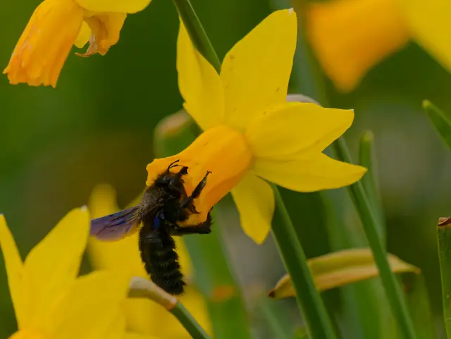 Foto: Eigenes Bild TB