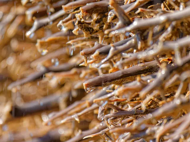 Gradierwerk ganz nah | Foto: Eigenes Bild TB