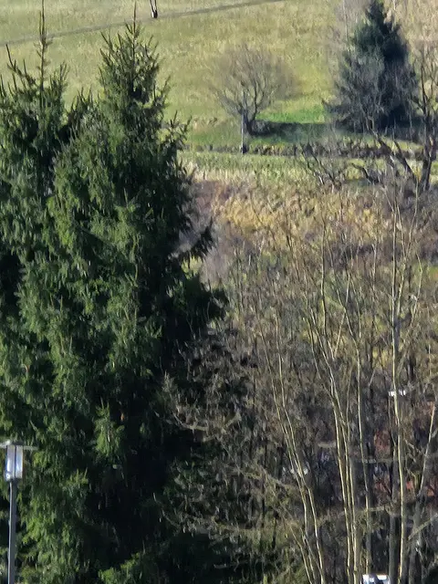 Foto: SAV OG Talheim