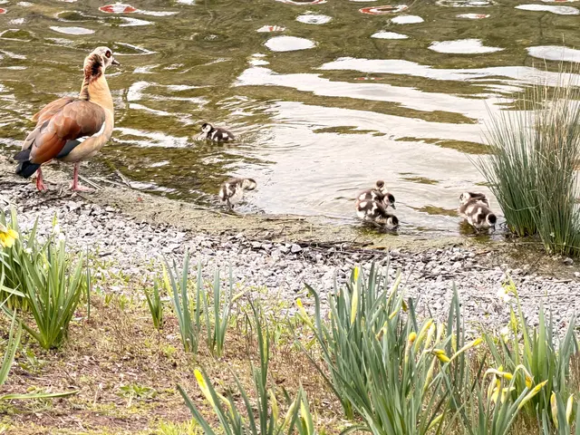 Foto: Heide Böllinger aus Bad Friedrichshall