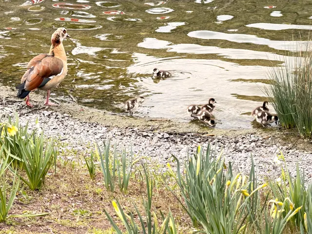Foto: Heide Böllinger aus Bad Friedrichshall