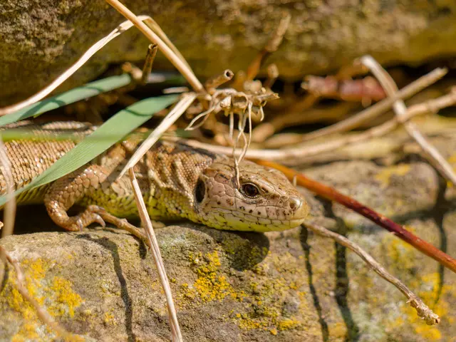 Foto: Eigenes Bild TB