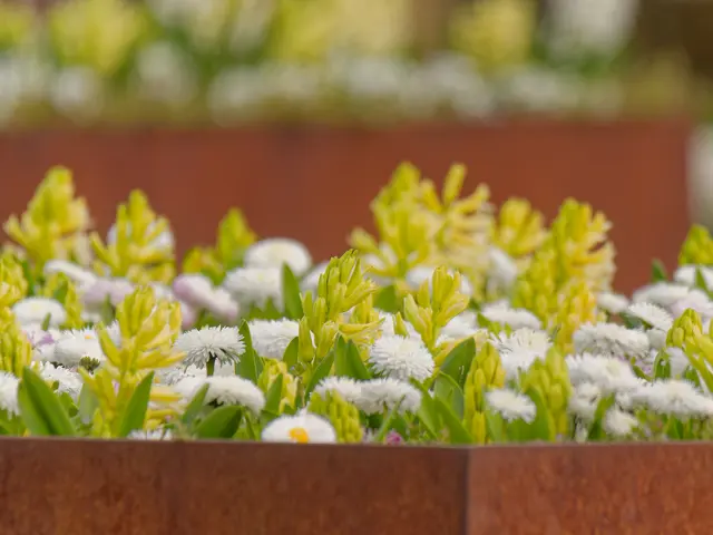 ganz in weiß... | Foto: Eigenes Bild TB