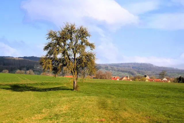 ohne Worte | Foto: (c) GMS