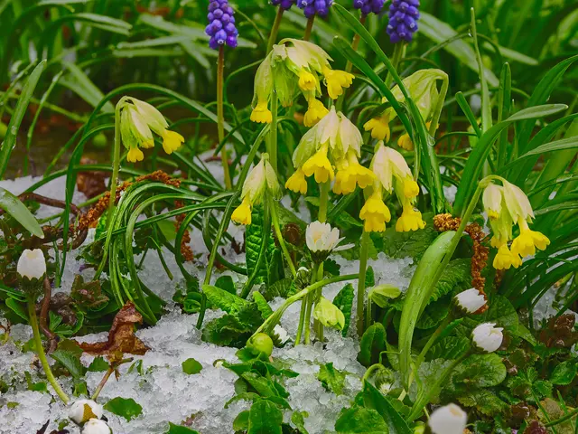 Foto: Rüdiger Reingräber