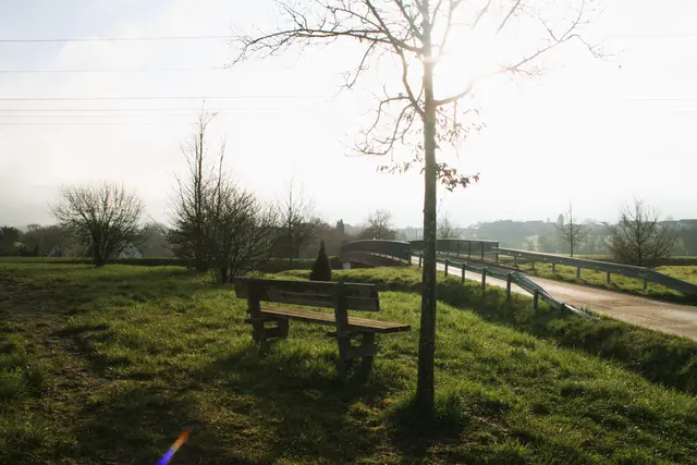 .. immerhin etwas oberhalb der Umgehungsstraße und | Foto: (c) GMS