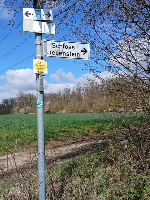 Foto: SAV OG Talheim