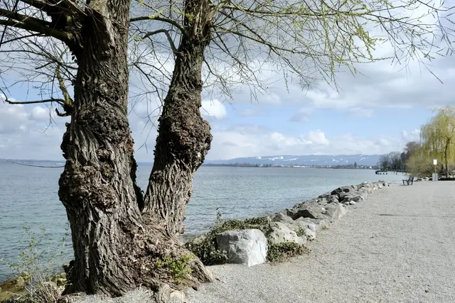 Am Seeufer | Foto: ED