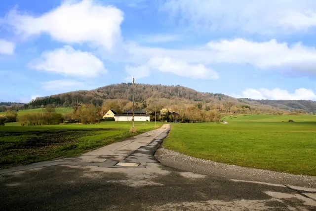 Blick von der Bank an der befahrenen Umgehungsstraße | Foto: (c) GMS