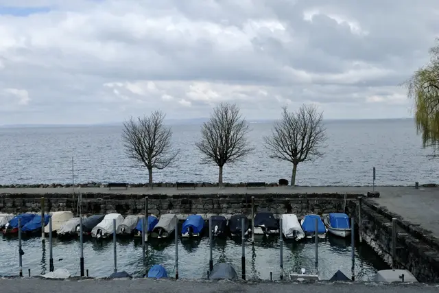 Direkter Zugang zum Bodensee | Foto: ED