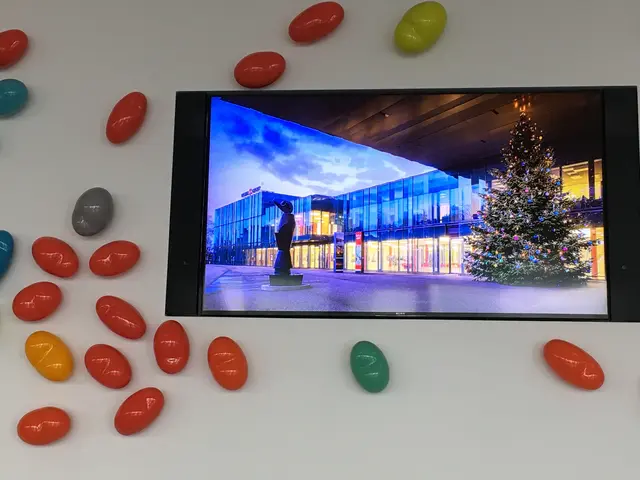 Videowand mit Kunstobjekten aus Muranoglas | Foto: ED