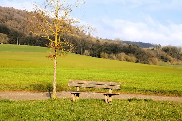 Diese Bank lädt zum verweilen ein .. | Foto: (c) GMS