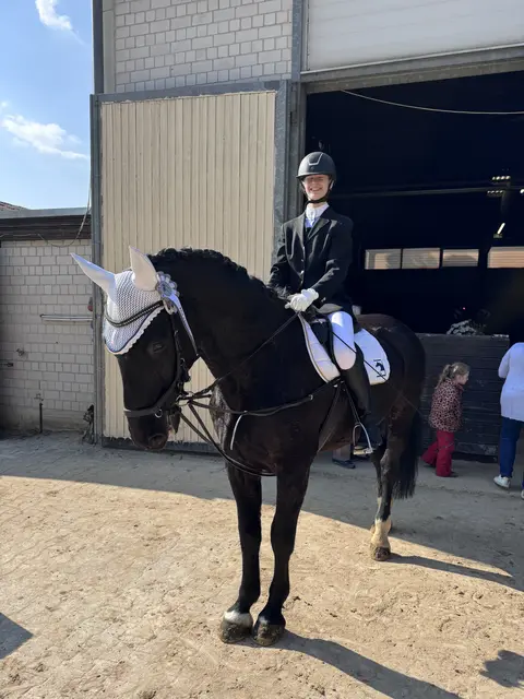 Foto: Reiterverein Heilbronn