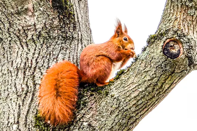 Foto: Melanie Walter