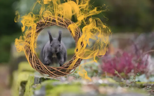 "Manni geht durchs Feuer" | Foto: Moni Bordt