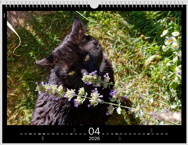 Mal schnuppern | Foto: WKY