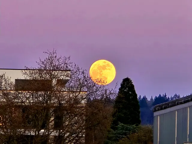 Mondaufgang um 19.35 Uhr | Foto: Heidrun Rosenberger