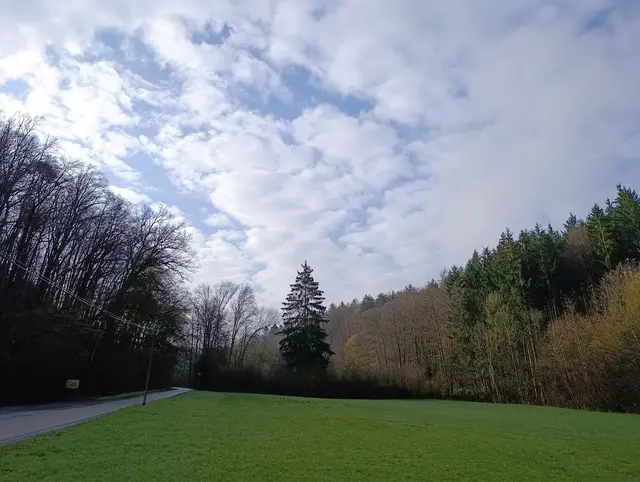 Um die Kurve ins Tal hinein | Foto: Aurelia Kling