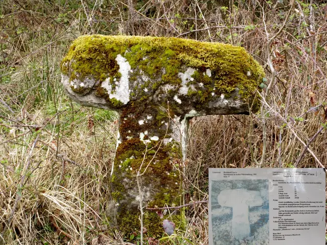 Sühnekreuz mit Information an der Hütte | Foto: WandernGabyErich