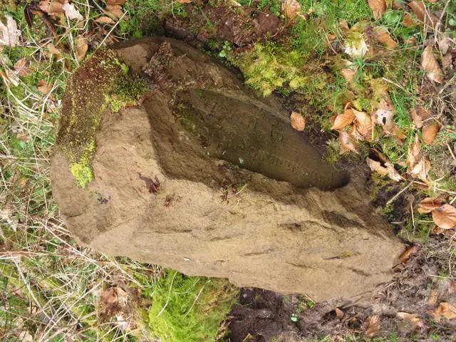 Weitere interessante Steine gefunden bei den Katharinensteinen 1 - 3 | Foto: WandernGabyErich