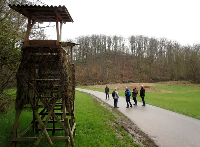 Der Farnersberg, da geht es rauf | Foto: WandernGabyErich