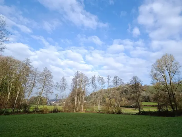 Bestes Wanderwetter  | Foto: Aurelia Kling