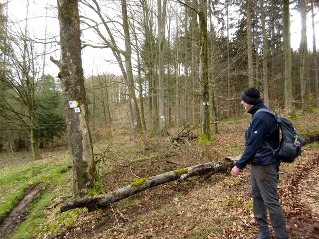 Der SB6 Heilbronner Land | Foto: WandernGabyErich