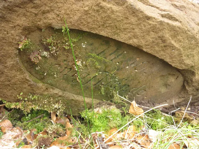 Königstände lesen wir hier III.10 | Foto: WandernGabyErich