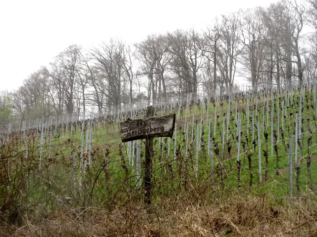 Der Heilige Berg | Foto: WandernGabyErich