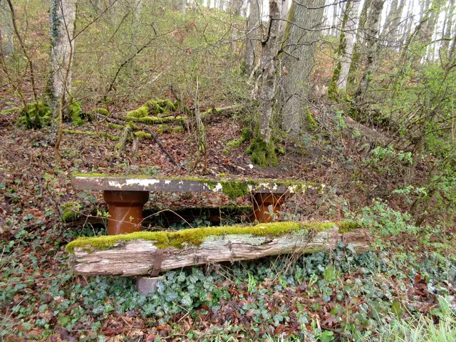 Am Wanderparkplatz | Foto: WandernGabyErich