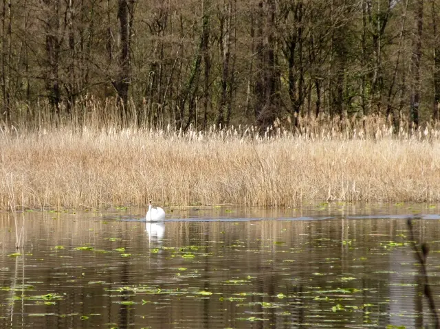 Foto: WandernGabyErich