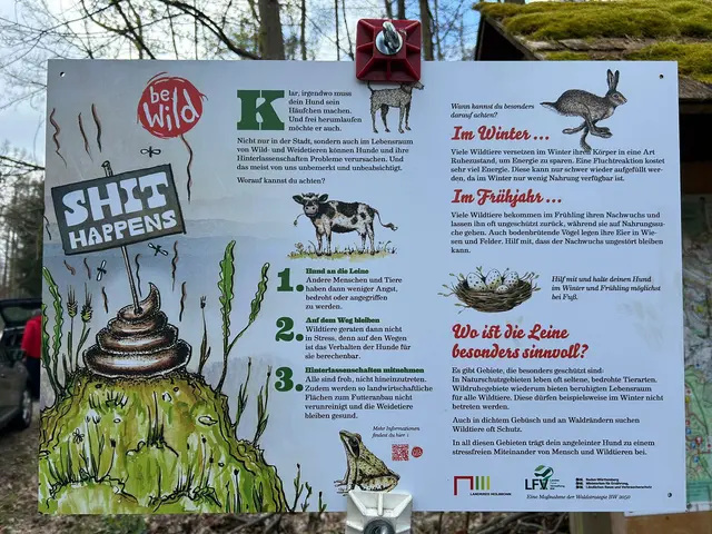 Wo der gesunde Menschenverstand aufhört muss ein Plakat her | Foto: Marion Hendel