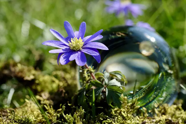 Mit Lensball | Foto: ED