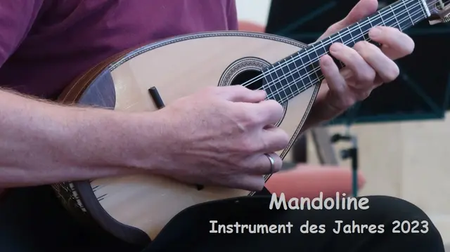 Mandoline - Instrument des Jahres 2023
präsentiert vom Mandolinen-Orchester Neckarsulm. | Foto: Frau Polonio für GMS