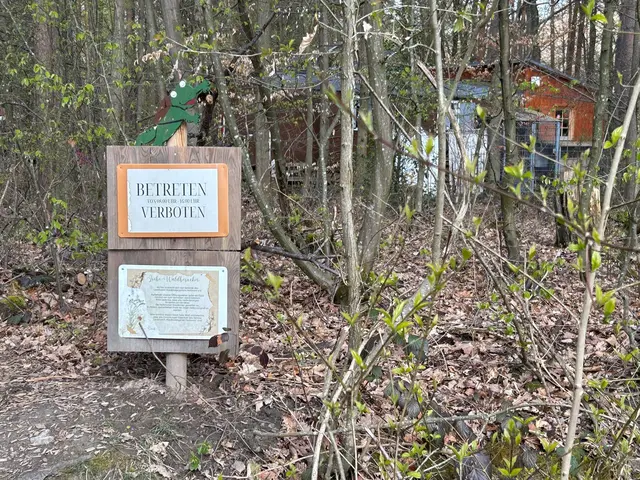 Der Waldkindergartenv von Heilbronn | Foto: Marion Hendel