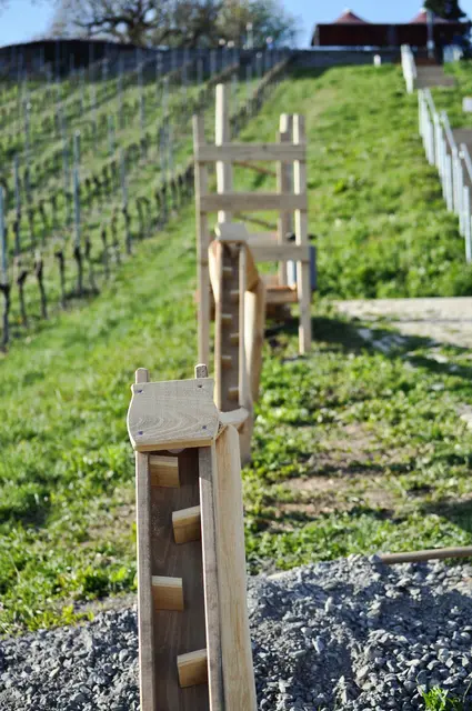 Man kann schon erahnen das so manches in der Murmelbahn steckt. | Foto: Daniela Somers