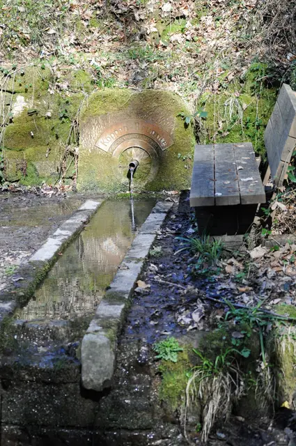 Am Koppenbrünnle | Foto: Daniela Somers