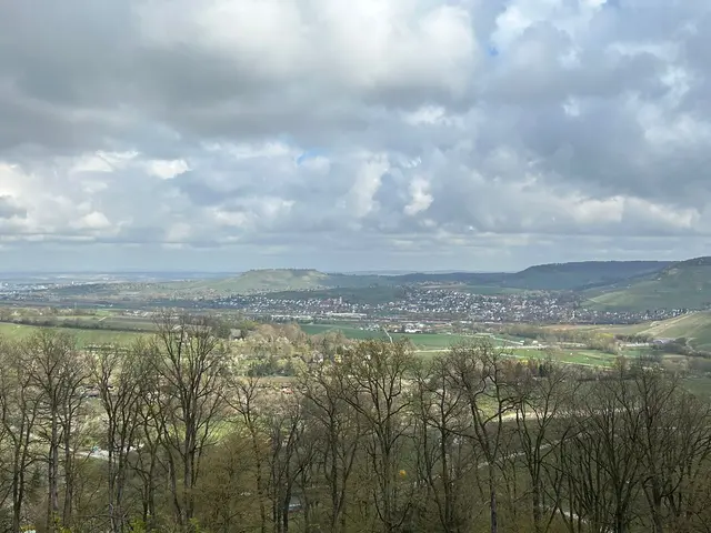 Blick vom Gewann Bürg  über Erlenbach- Kayberg Binswangen | Foto: Marion Hendel