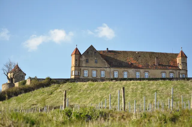 Der Weg führt zur Burg und somit hat man auch immer die Burg vor Augen. | Foto: Daniela Somers