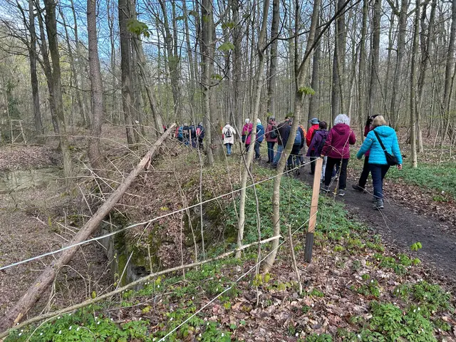 Oberhalb vom Steinbruch beginnt der Stadtwalddschungel | Foto: Marion Hendel