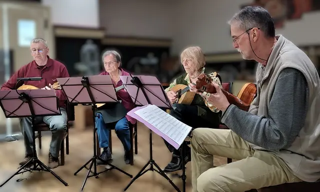 Mandolinenmusik in der kleinen Besetzung des Quartetts
Mandolinen-Orchester Neckarsulm. | Foto: (c) GMS