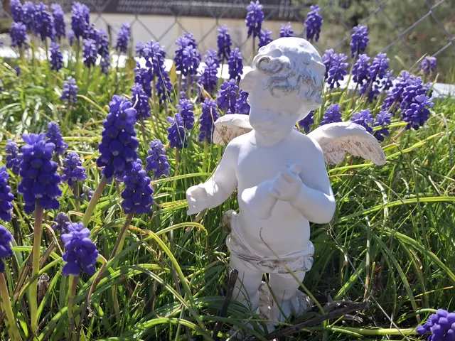 Traubenhyazinthen | Foto: Norbert sanftmann 