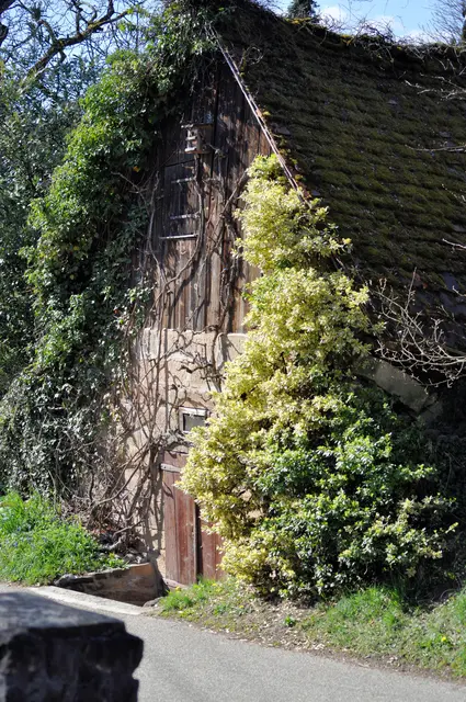 Hexenhäusle? Bei diesem alten Gebäude holt sich die Natur Schritt für Schritt ihr Gebiet zurück. | Foto: Daniela Somers