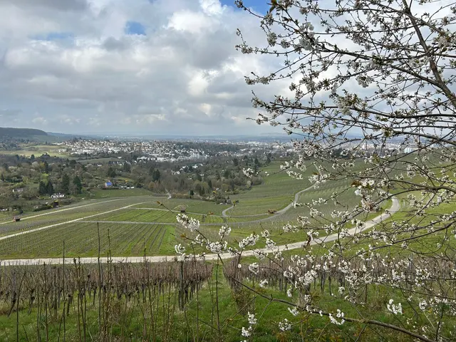 Blick auf Heilbronn | Foto: Marion Hendel