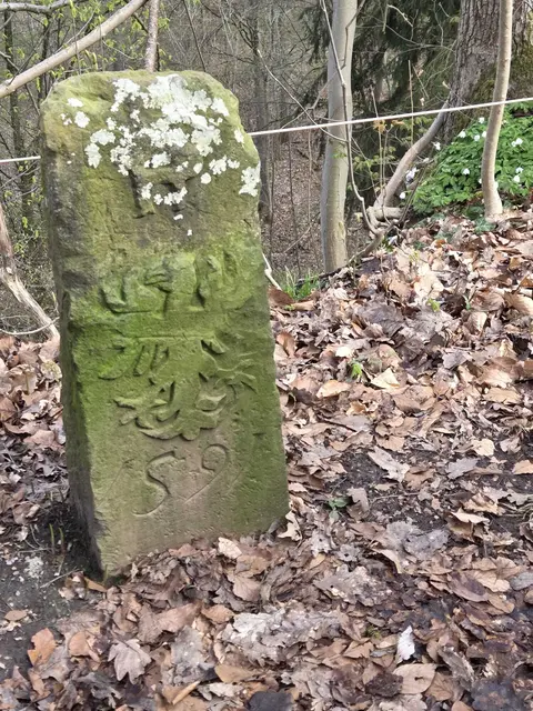Der Reichsadler von Heilbronn.  | Foto: Karin Feghelm