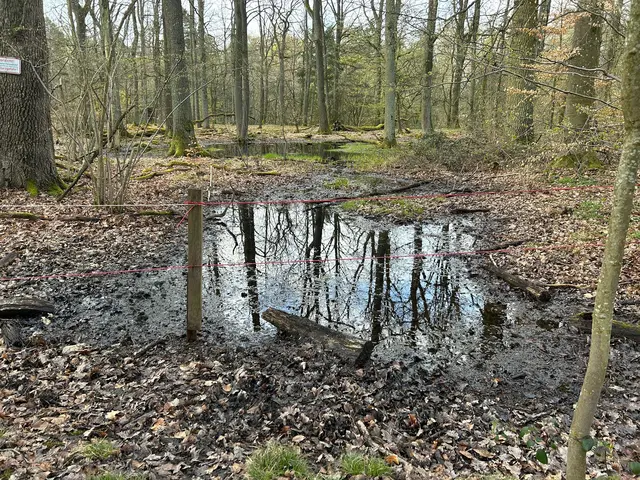 Noch ein bißchen Wasser der letzten TAGe | Foto: Marion Hendel