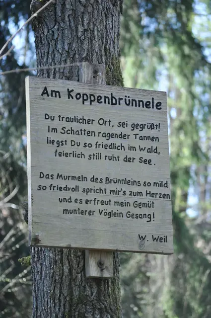 Tafel am Koppenbrünnle | Foto: Daniela Somers