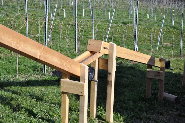 Hier steckt bestimmt jede Menge Arbeit drin. | Foto: Daniela Somers