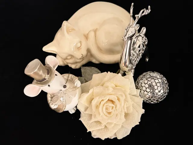 Foto: Heide Böllinger aus Bad Friedrichshall