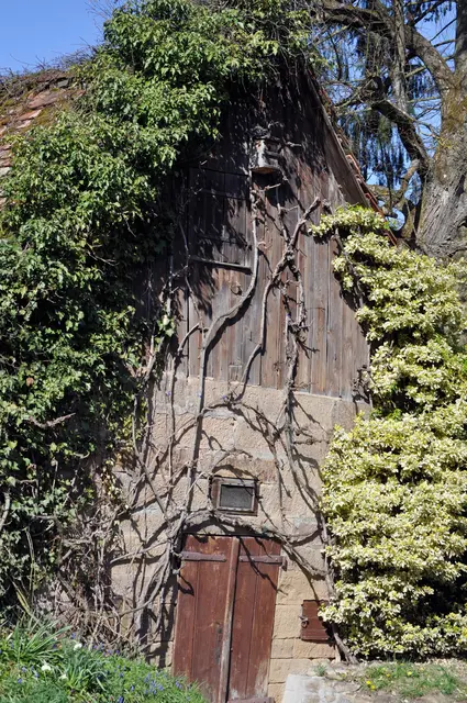 Sieht schon sehr verwunschen aus. | Foto: Daniela Somers